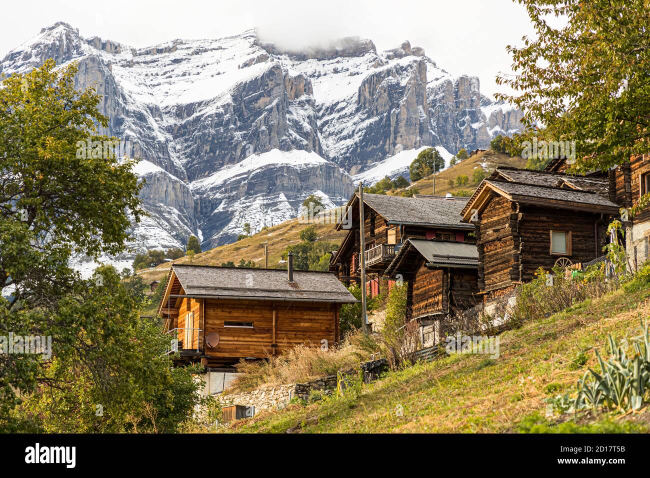Guided herbal hike through Albinen in Valais, Switzerland Stock Photo