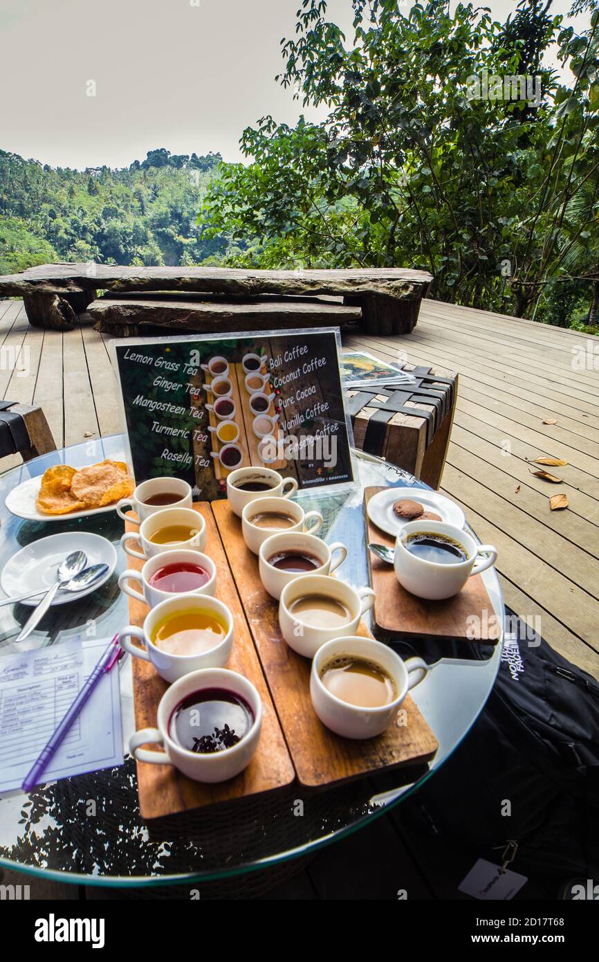 Kopi luwak and a variety type of coffee and tea cup served in a rice