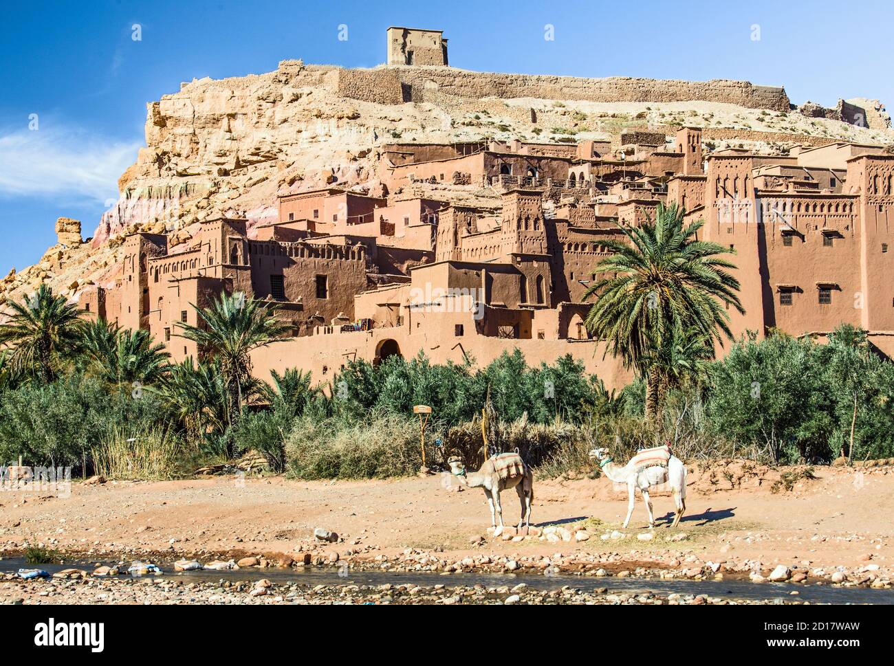Scenic view of famous village: Ait ait ben haddou ingluding camels, palms and the dry river, Morocco Stock Photo