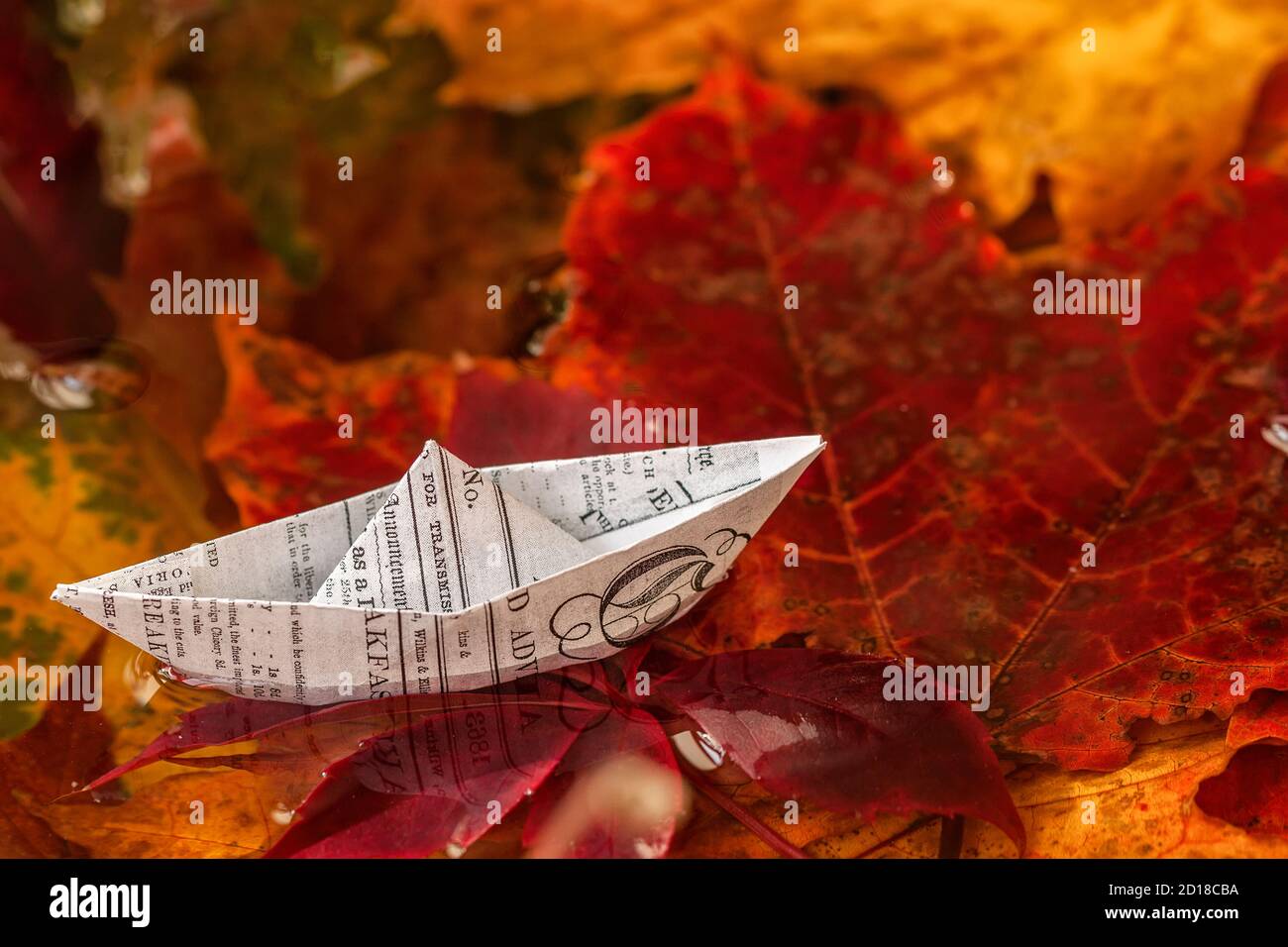 Closeup paper boat from newspaper among bright colorful leaves in