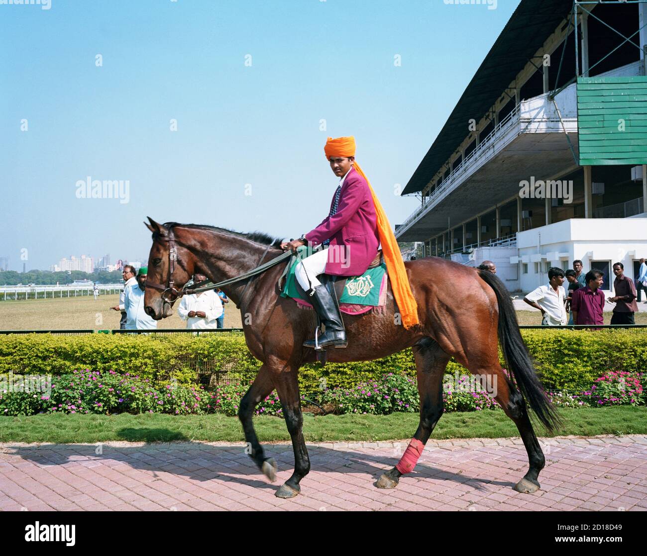 A procession horse at Mahalaxmi Racecourse in Mumbai Stock Photo Alamy