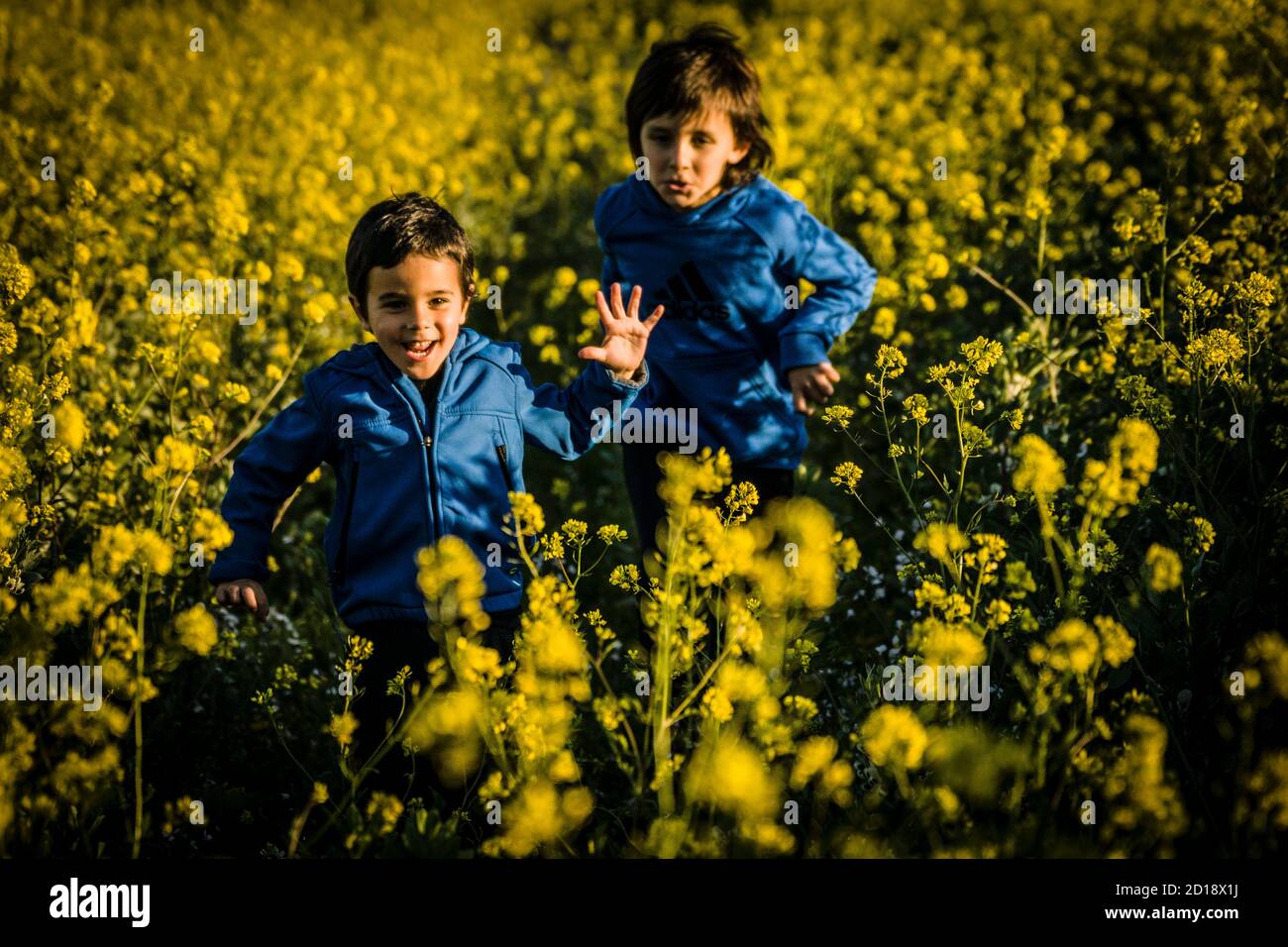 niños corriendo entre flores amarillas. Ses Salines, Mallorca Stock Photo
