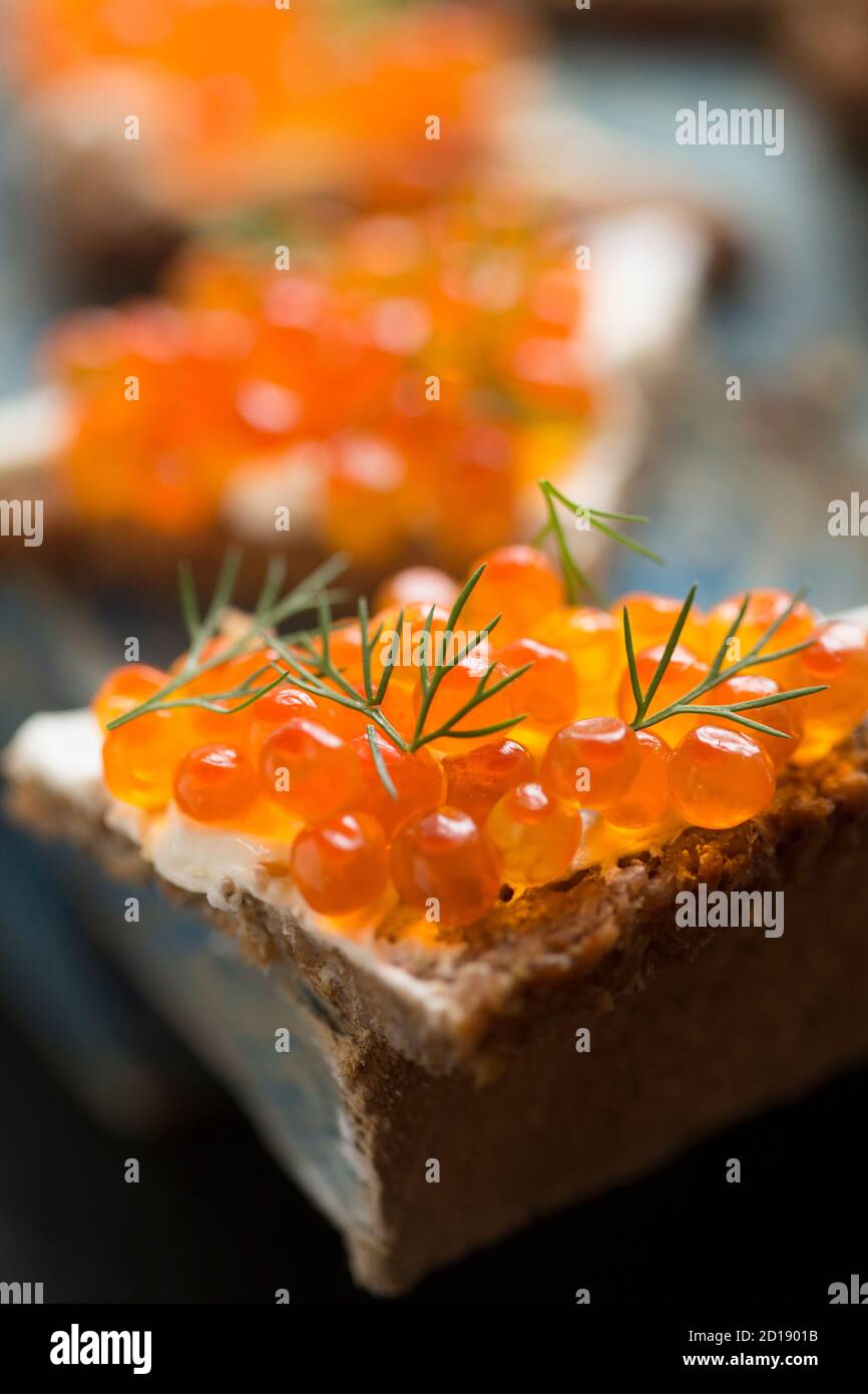 Pacific salmon caviar, bought from a supermarket, served on rye bread with cream cheese and garnished with fresh dill. Dorset England Uk GB Stock Photo