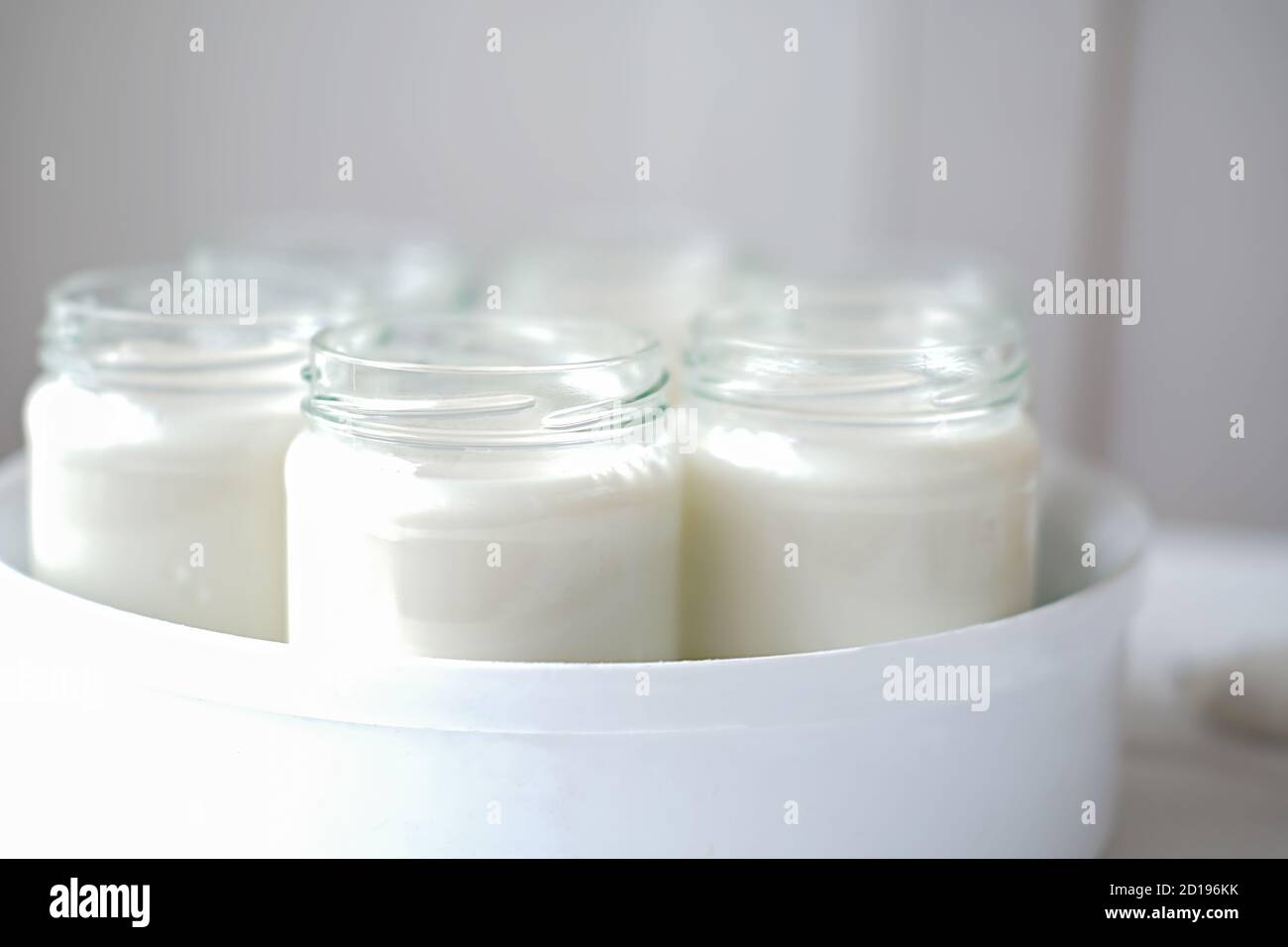 homemade organic yogurt in glass jars in yogurt maker. automatic yogurt machine to make fermrnted milk product at home. yogurt making during quarantine concept.  Stock Photo
