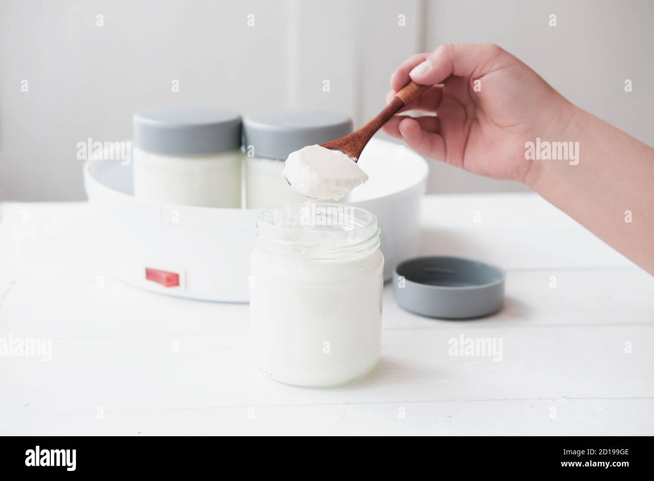 baby's hand holding a spoon with homemade organic yogurt. jars in yogurt maker. automatic yogurt machine to make fermented milk product at home. yogurt or kefir making during quarantine concept.  Stock Photo