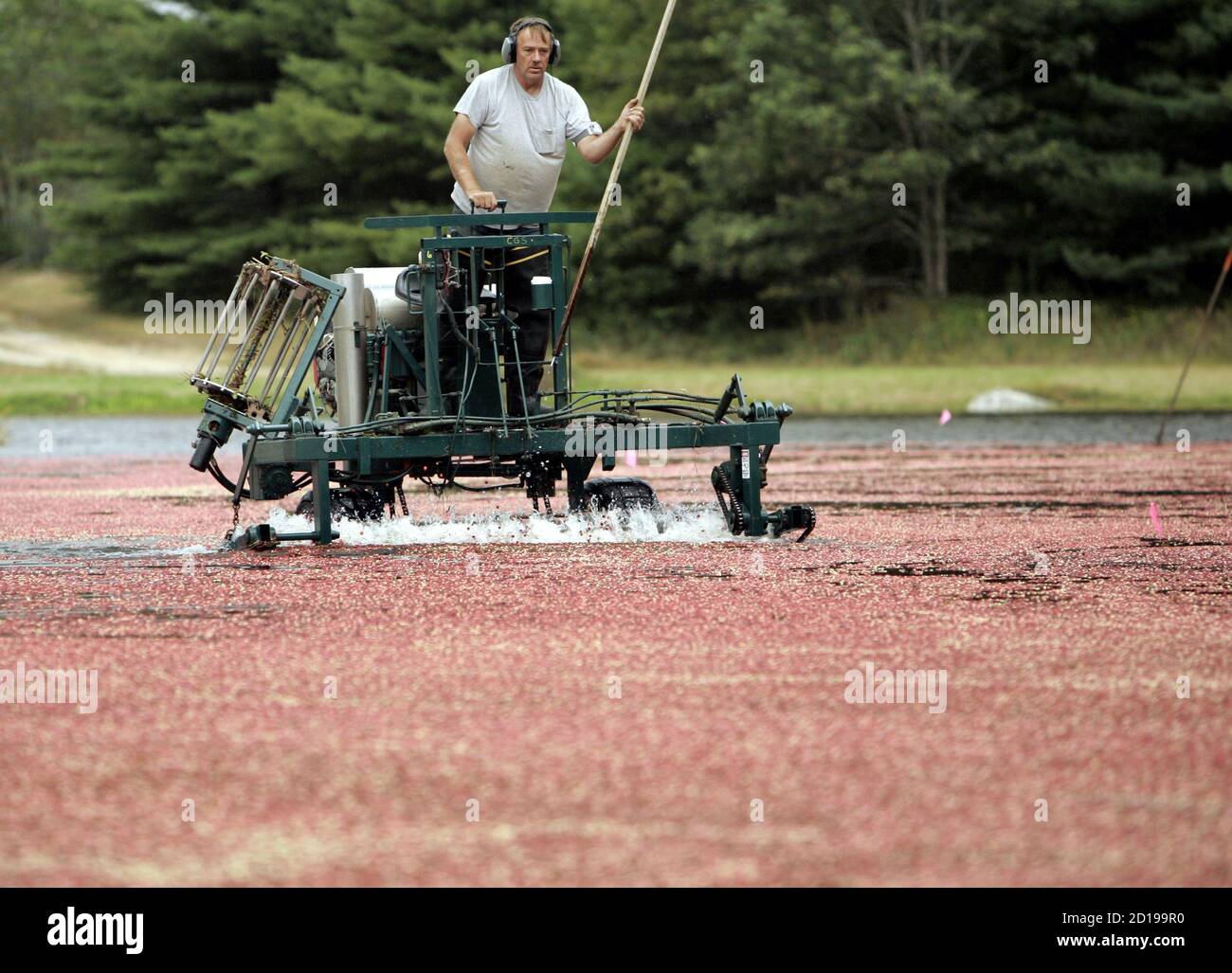 Carver Cranberry High Resolution Stock Photography and Images Alamy