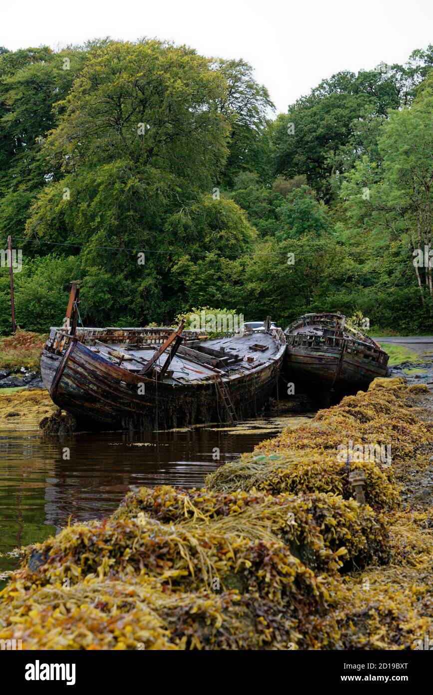 Old abandoned and decaying  wooden fishing boats at Salen on the Isle of Mull in the Inner Hebrides in Western Scotland Stock Photo