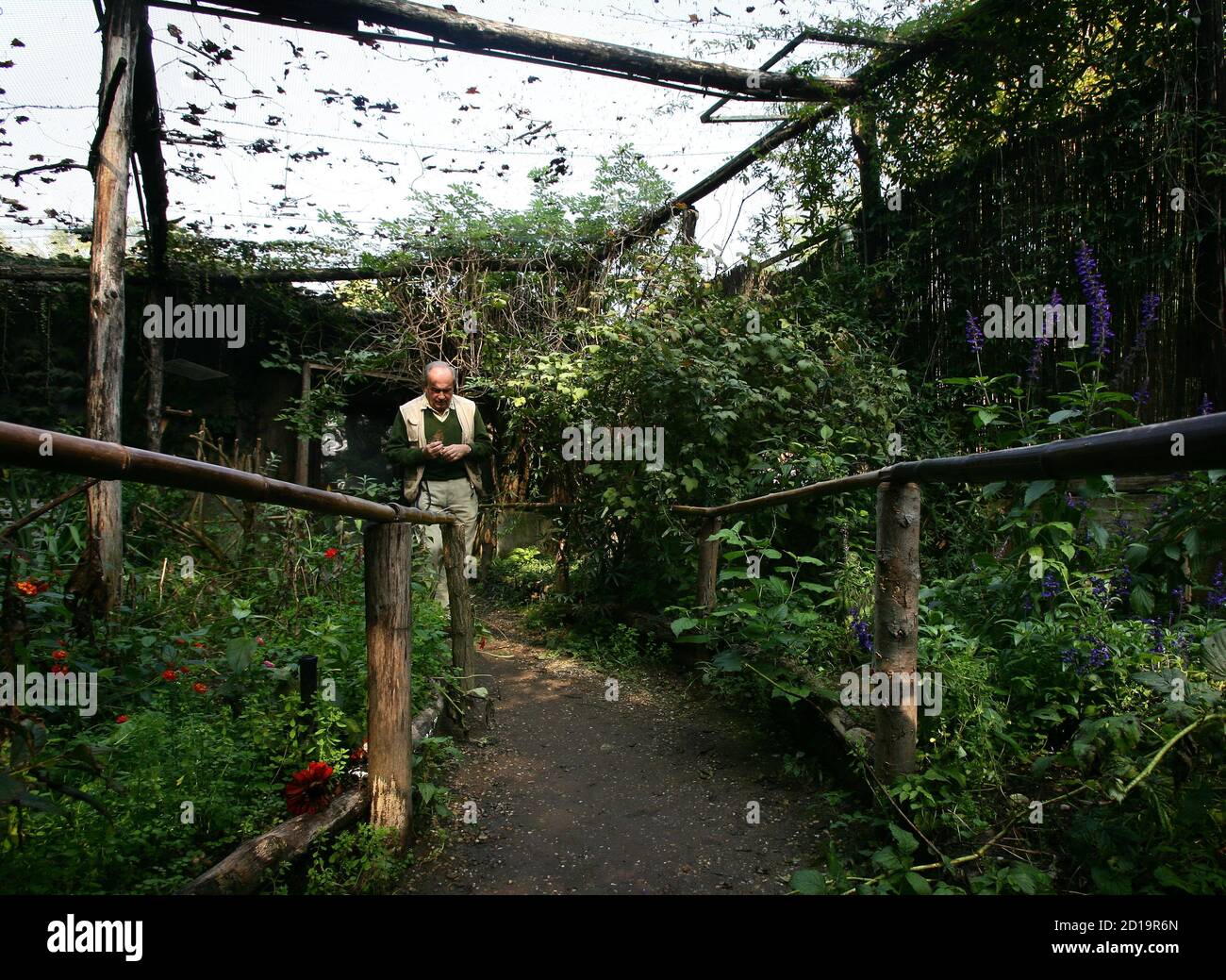 A man walks through a butterfly conservatory he helps run at the Saint  Alessio Oasis animal sanctuary in Pavia, Italy October 10, 2006.  Butterflies are raised at the ecological reserve and then