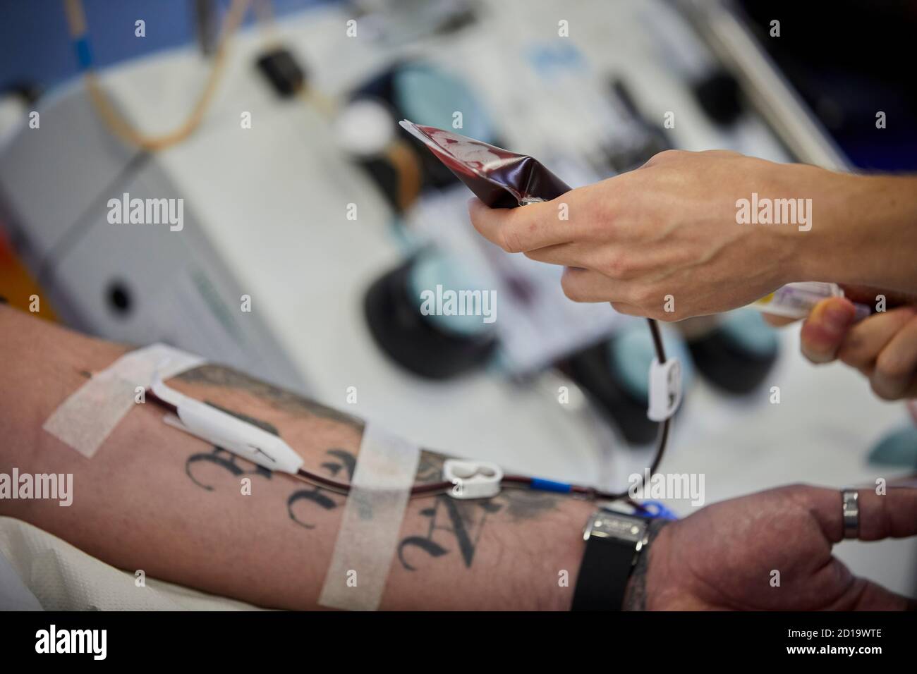 NHS blood donor centre Plasma donation, Plasma the largest single