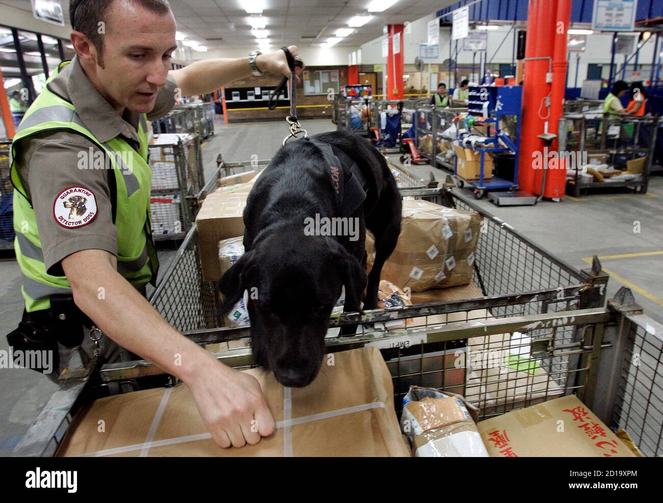 How Long Is A Dog In Quarantine In Australia
