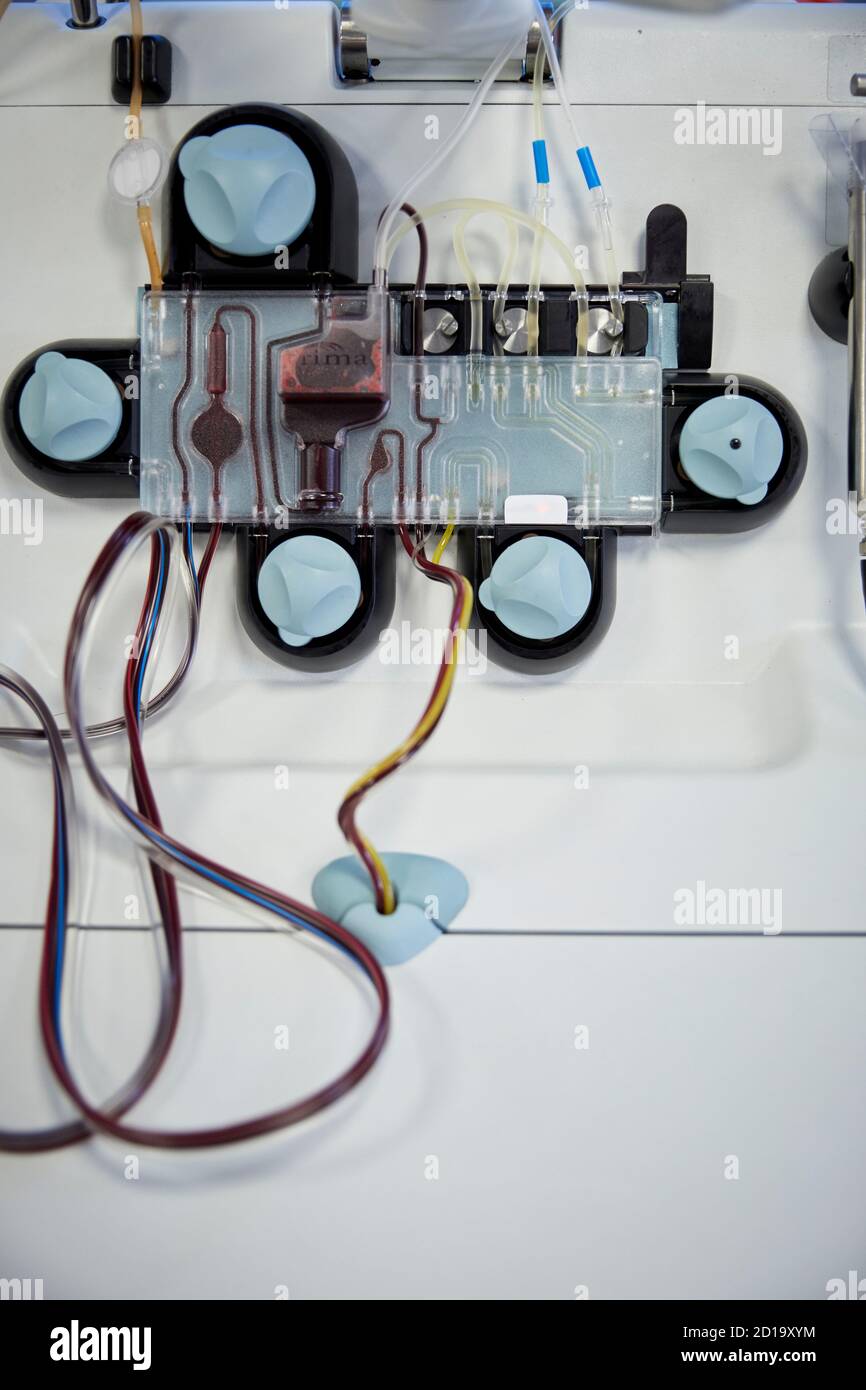 NHS blood donor centre Plasma donation, Plasma the largest single