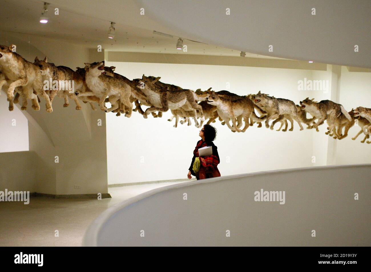 A visitor to the Guggenheim Museum walks through the installation "Head On" by the artist Cai Guo-Qiang in New York, February 21, 2008. The piece is part of the artist's exhibition Cai Guo-Qiang: I Want to Believe. REUTERS/Keith Bedford (UNITED STATES) Stock Photo