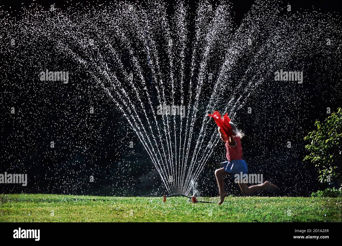 4 year old little girl with running under and through a lawn sprinkler Stock Photo