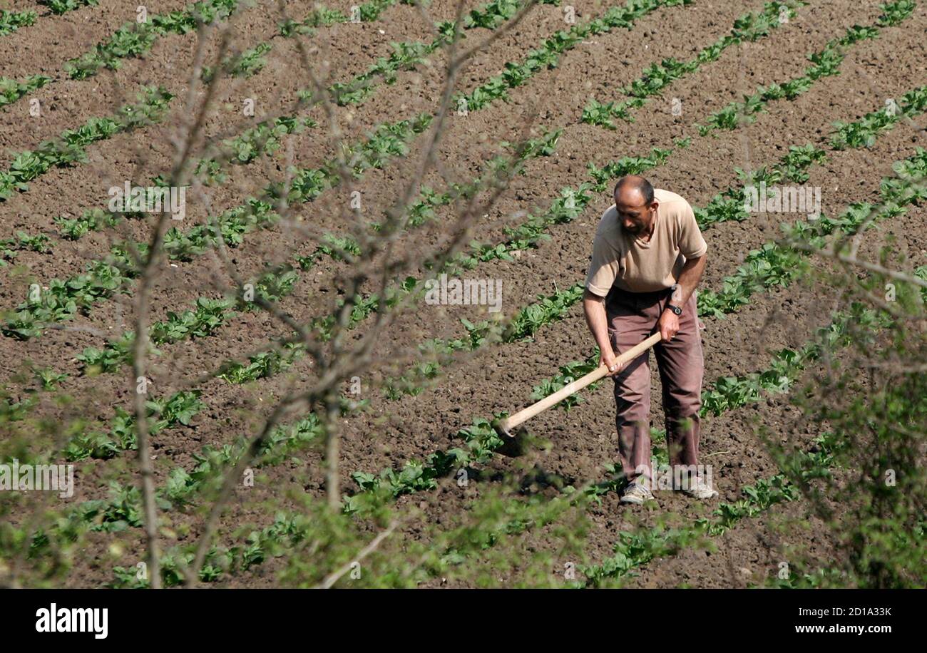 Kosovo agriculture hires stock photography and images Alamy