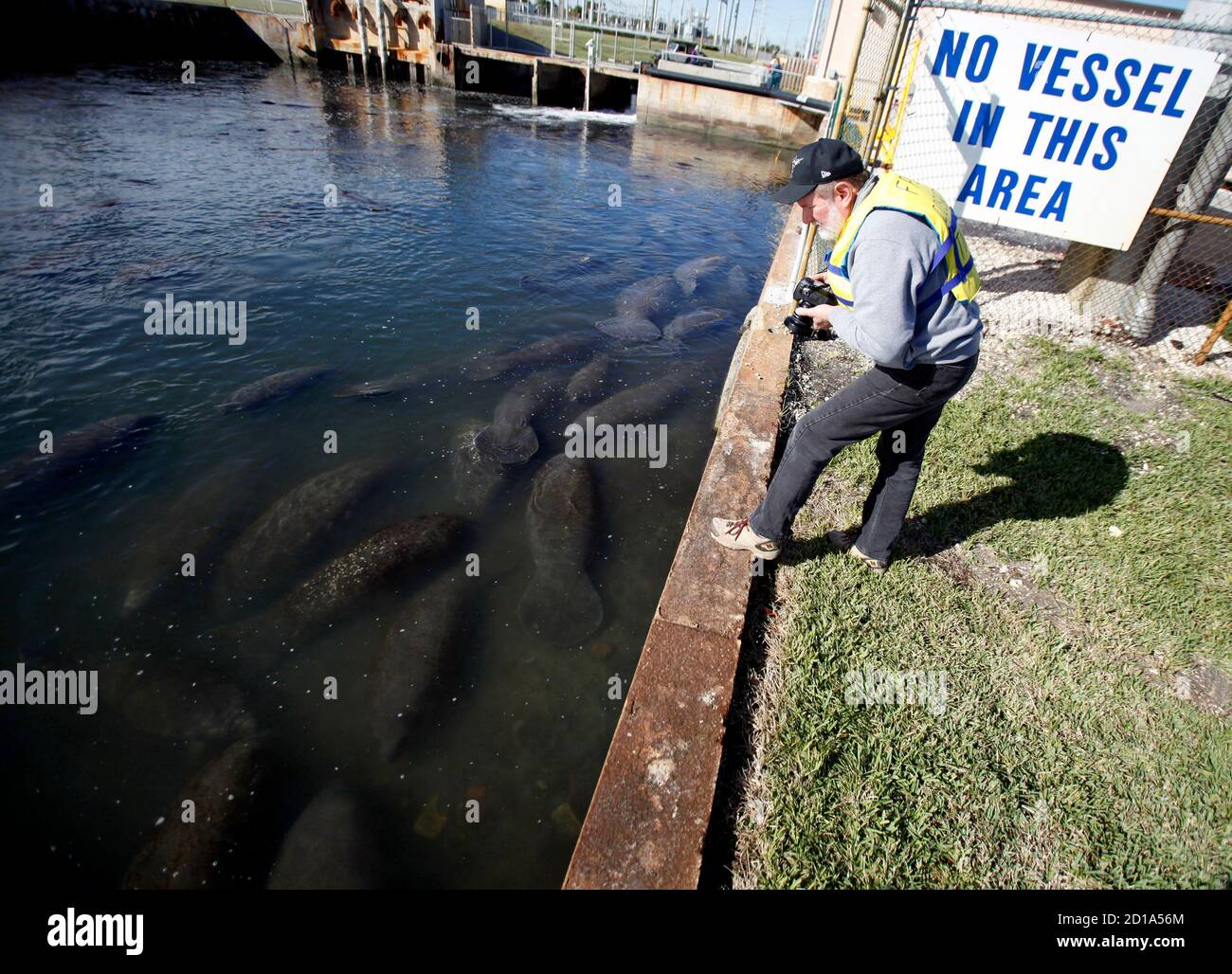 Florida manatee power plant hi-res stock photography and images - Alamy