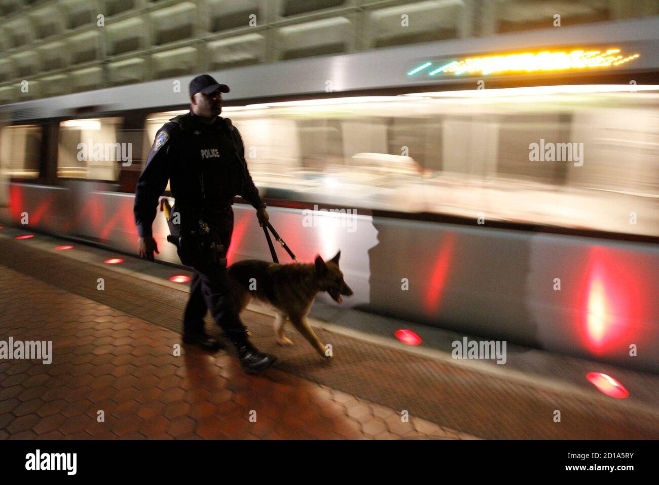 Are Dogs Allowed In Dc Metro