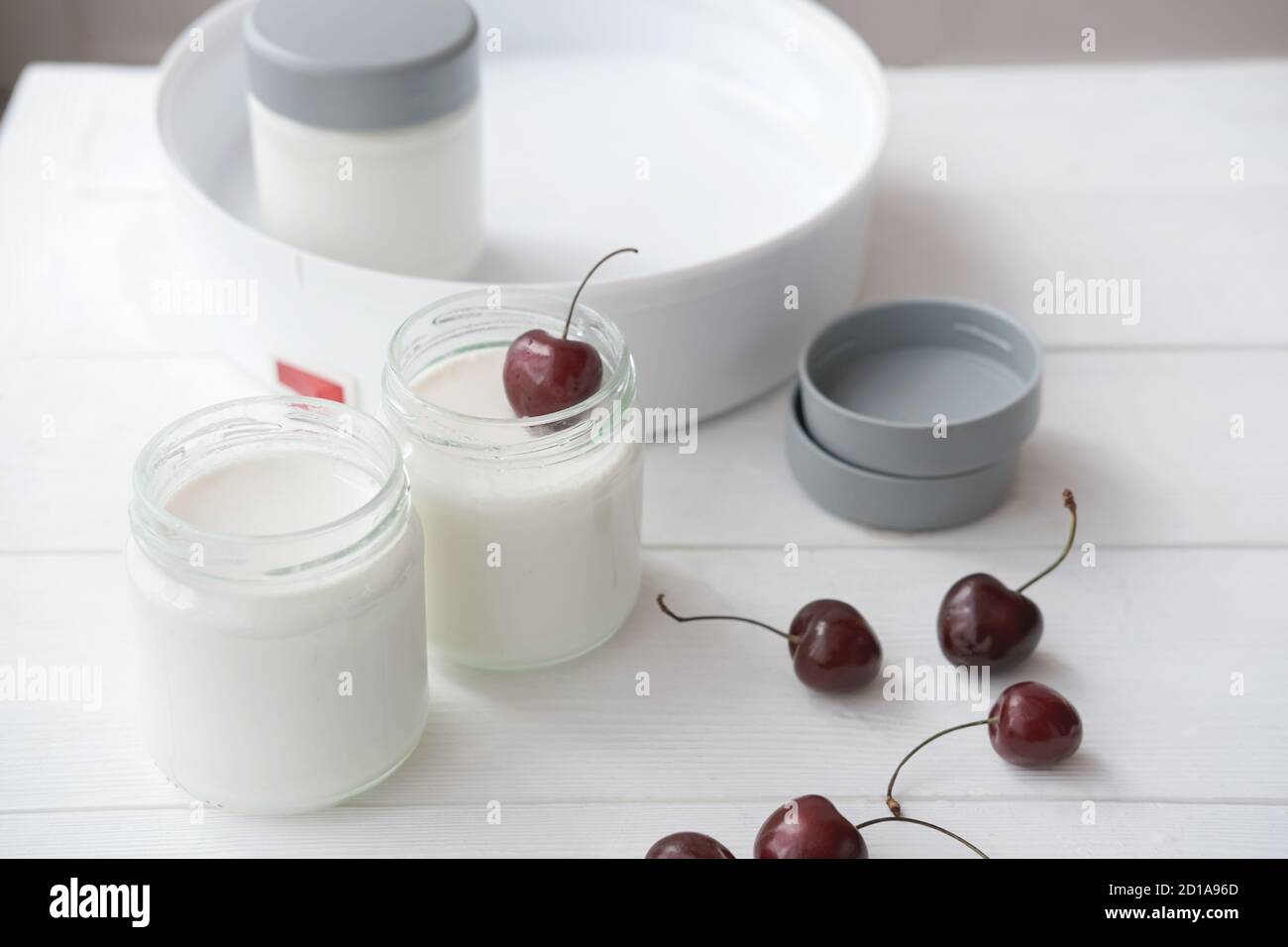 homemade organic yogurt in glass jars in yogurt maker. automatic yogurt machine to make fermented milk product at home. yogurt or kefir making during quarantine concept. cherries near glass jars. Stock Photo