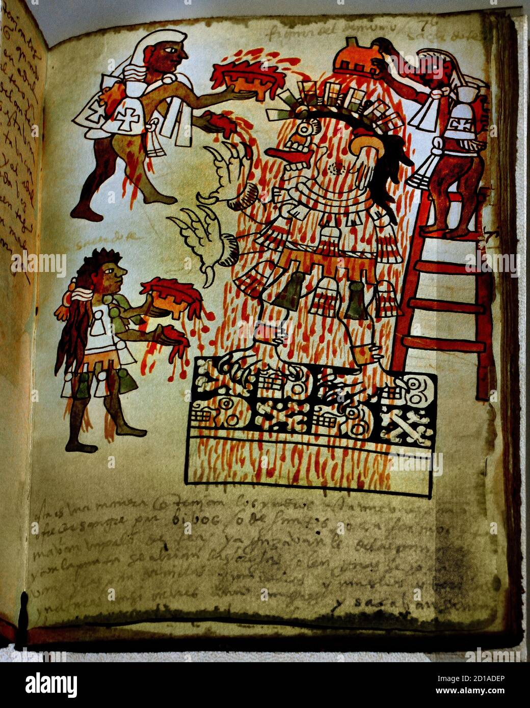 Facsimile of the Tudela Codex exhibited at the Museo de América in Madrid .Valley of Mexico found in	La Coruña , Mexico, Mexicans, (  It is part of a group of colonial codices of Mexico known as the Magliabechiano Group , together with the Magliabechiano Codex) Stock Photo