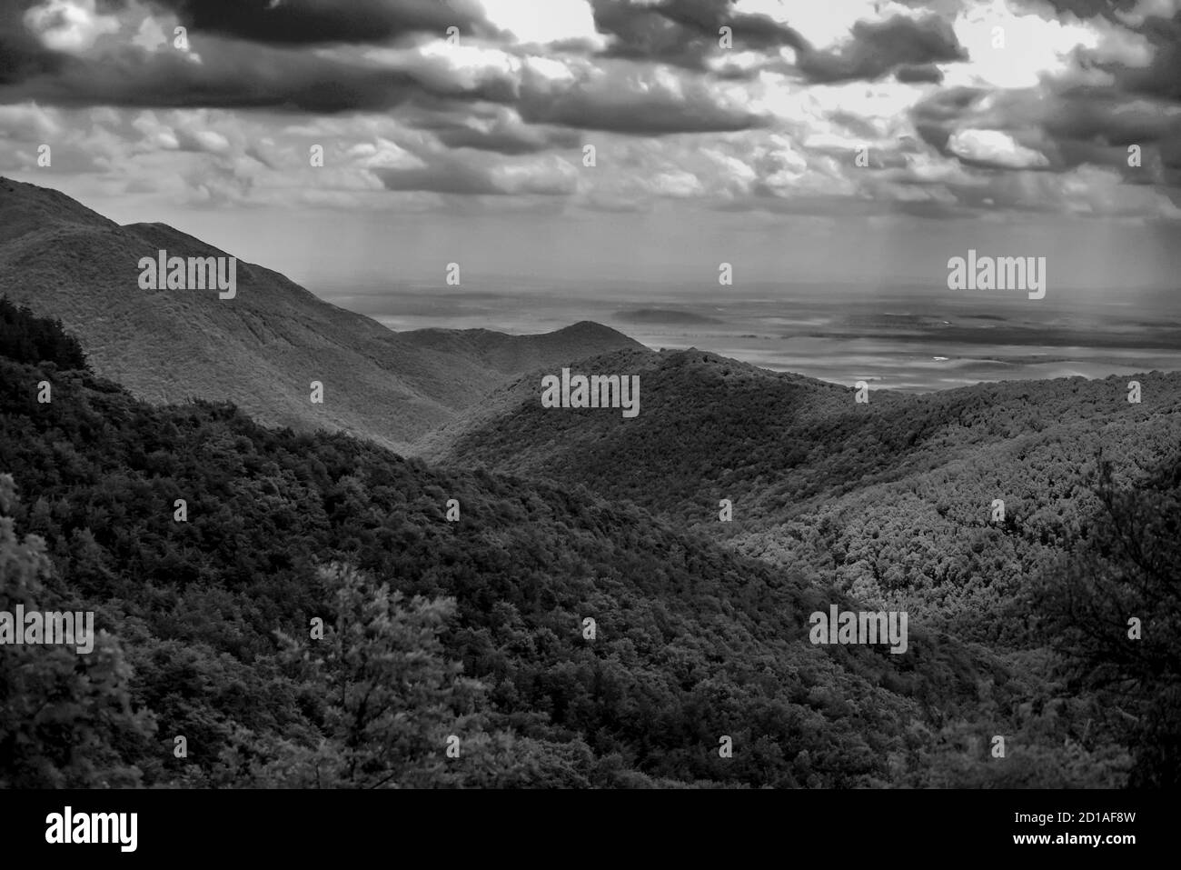 Scenic view of folds and layers on the vast rocky face of a big mountain in black and white Stock Photo