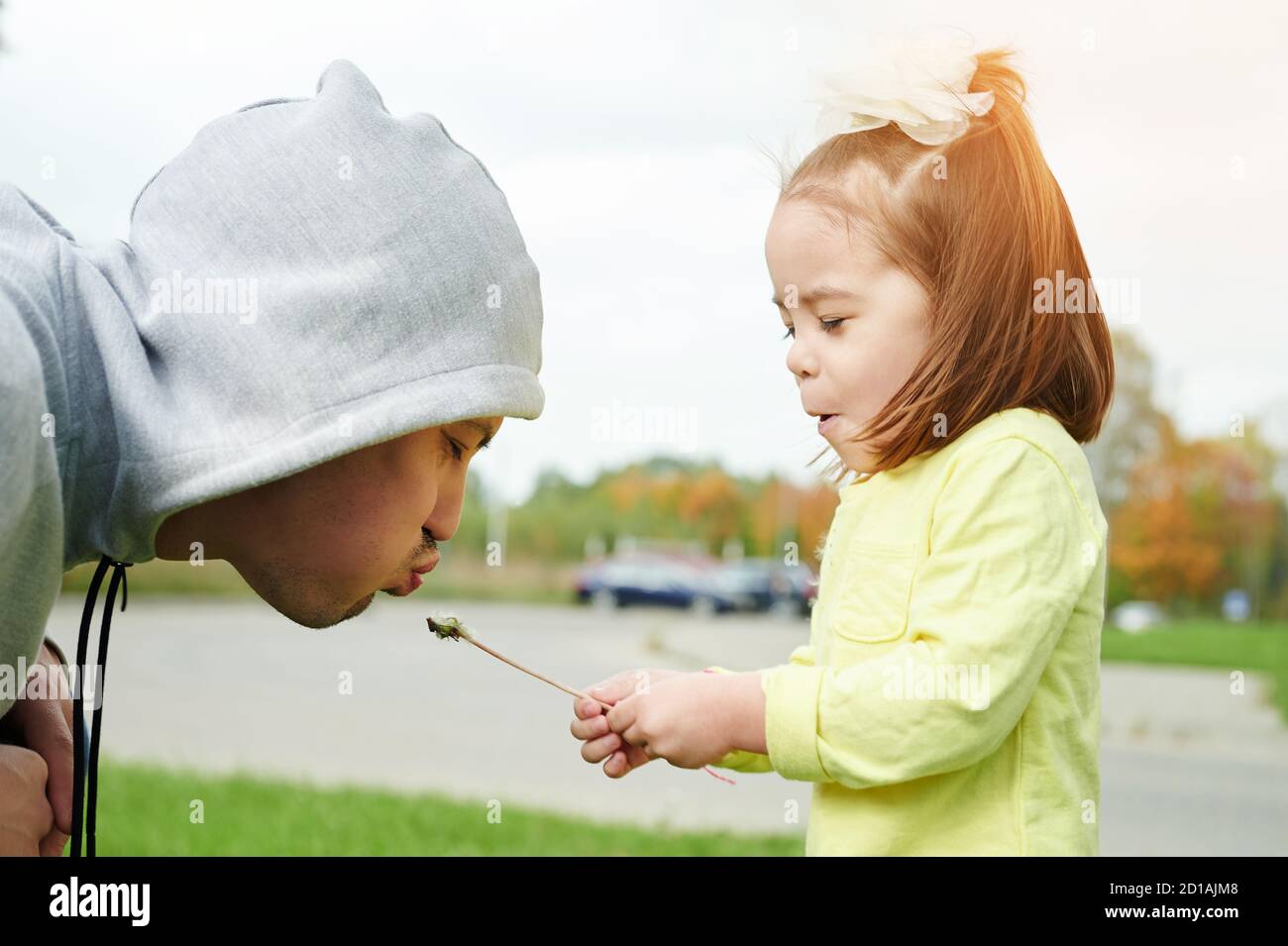 Dad and daughter blow dandelion. Family have time together Stock Photo