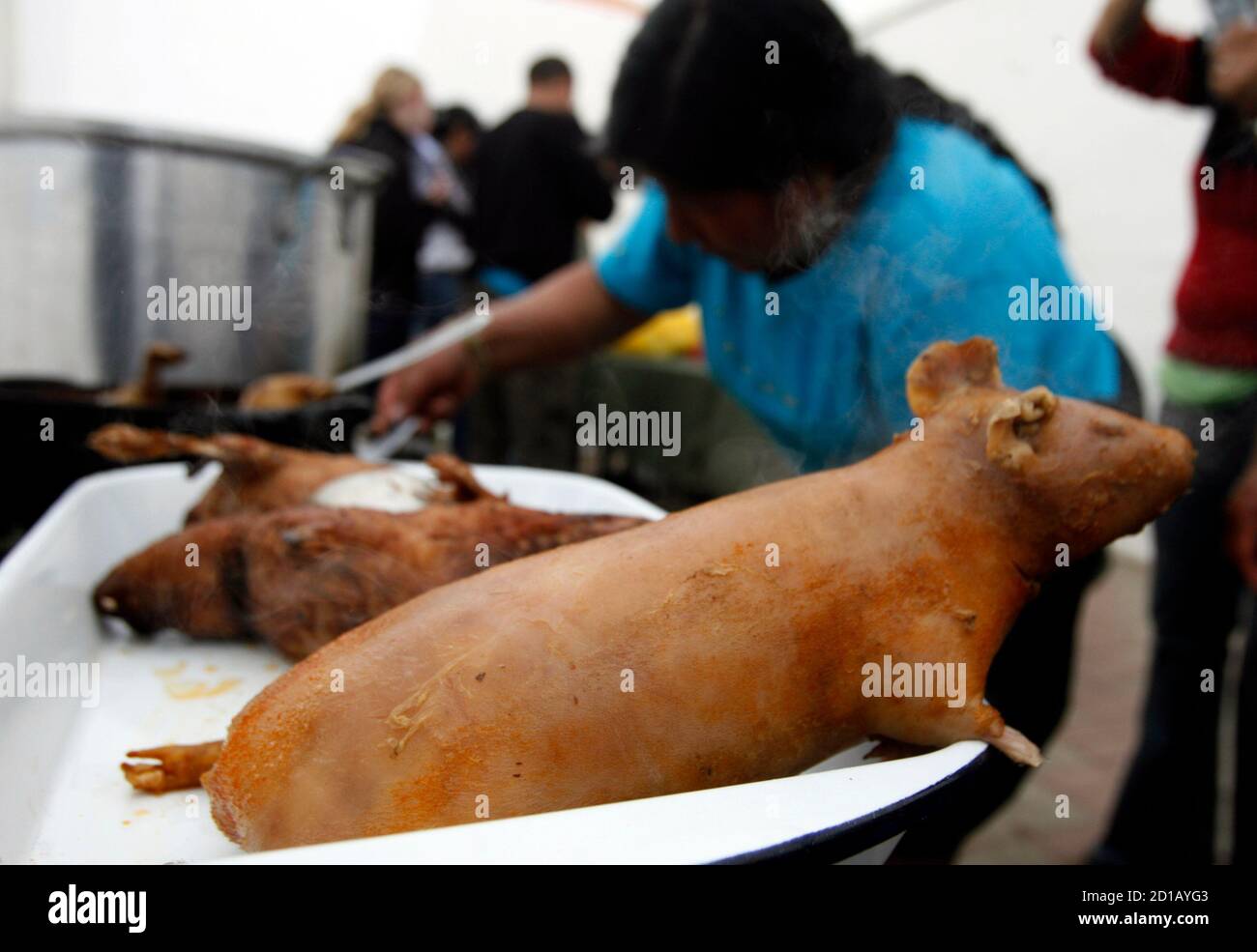 peruvian roasted guinea pig