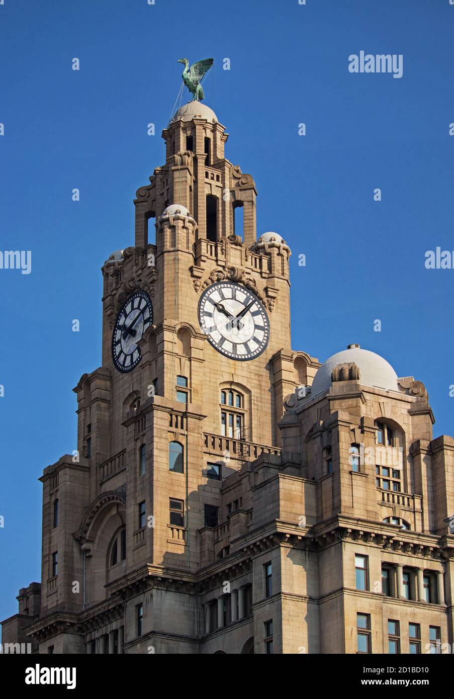 The clock tower on the Royal Liver Building, housing one of Liverpool's  famous liver birds. Stock Photo