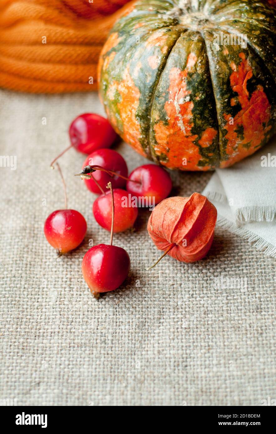 Autumn still life with pumpkin, physalis and small red apples Stock Photo