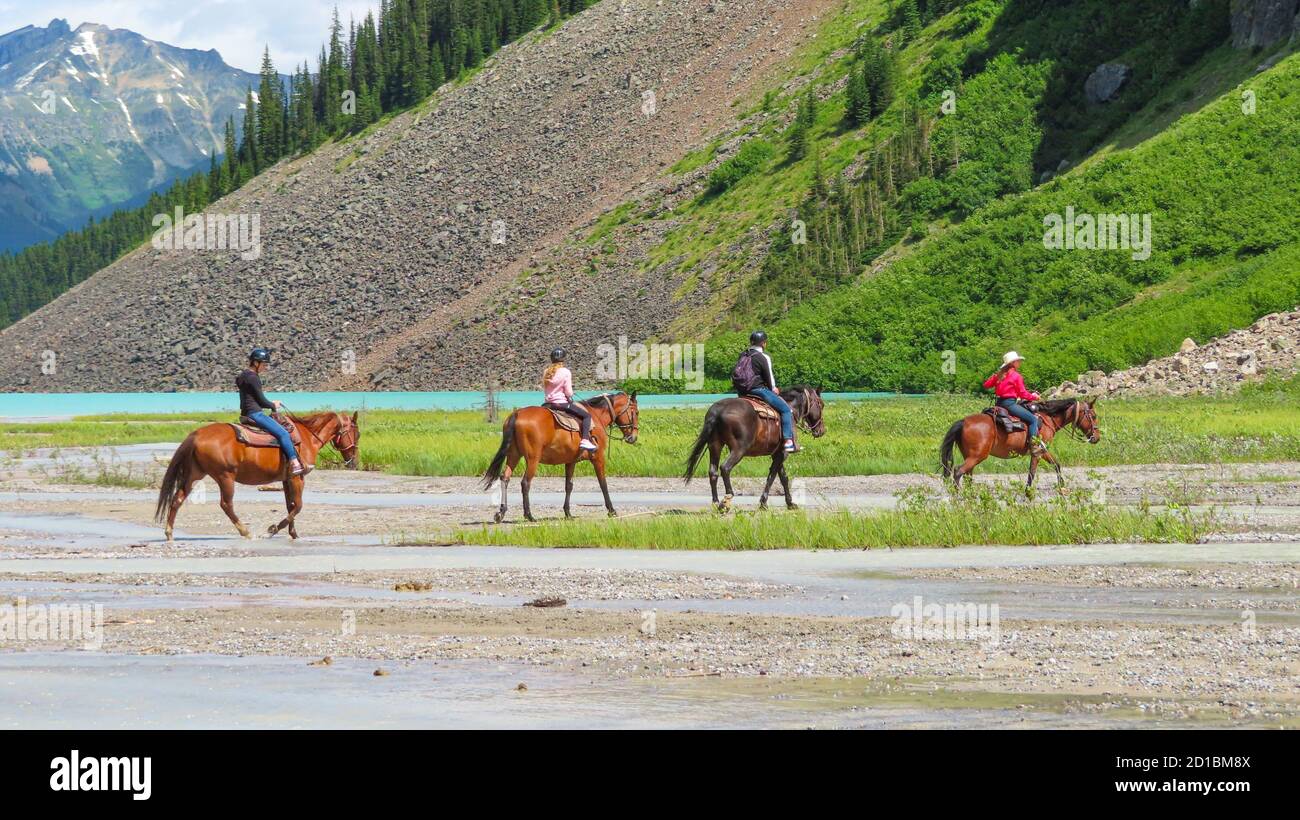 Mountain guided horse tour - The view on 4 horses with riders crossing the path towards the hills. The Lake Louise in the background. Banff NP, AB. Stock Photo