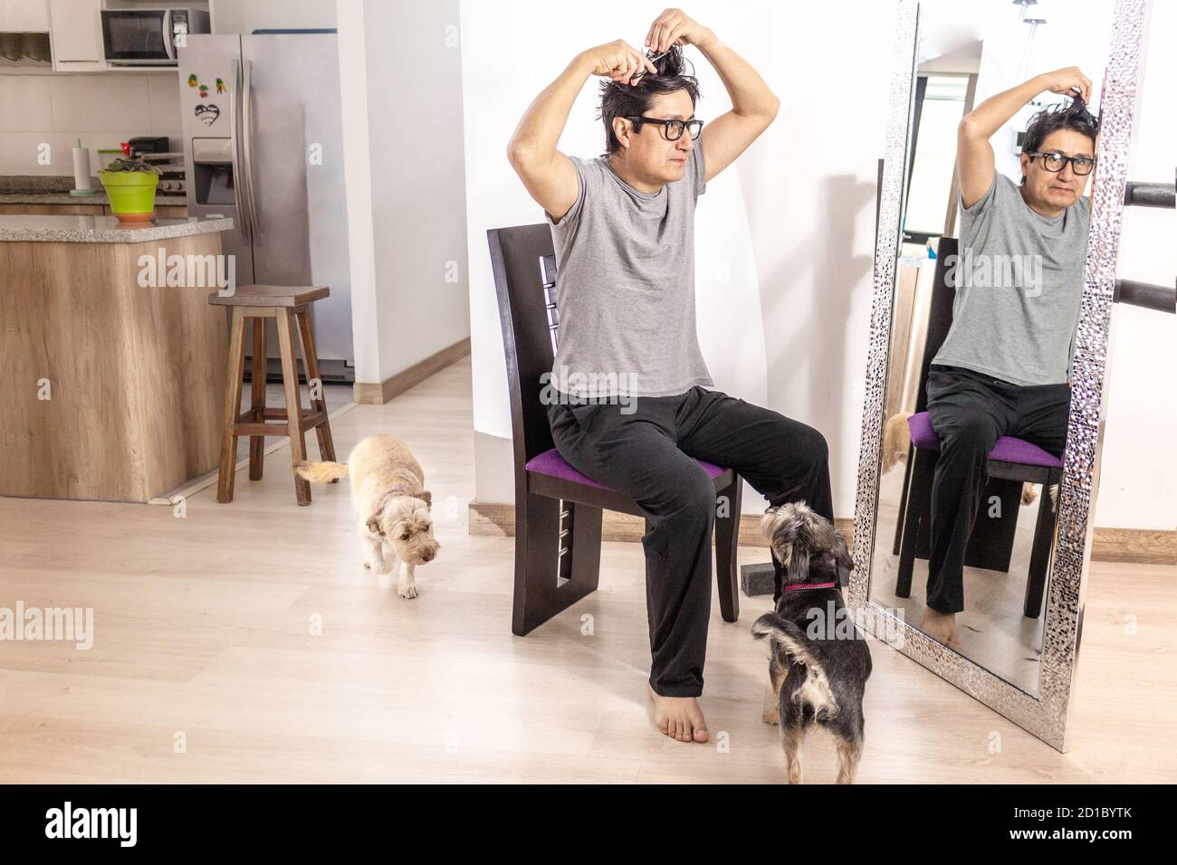 Man who is cutting his hair himself in front of a mirror in his living room with his dogs accompanying him. Pandemic activities for social distancing Stock Photo