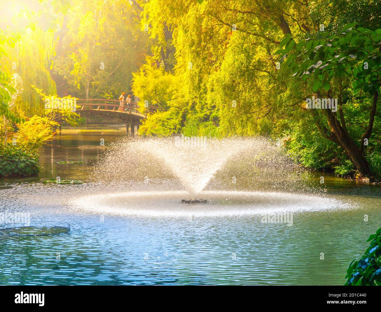 Fountains in the green summer park pond Stock Photo Alamy