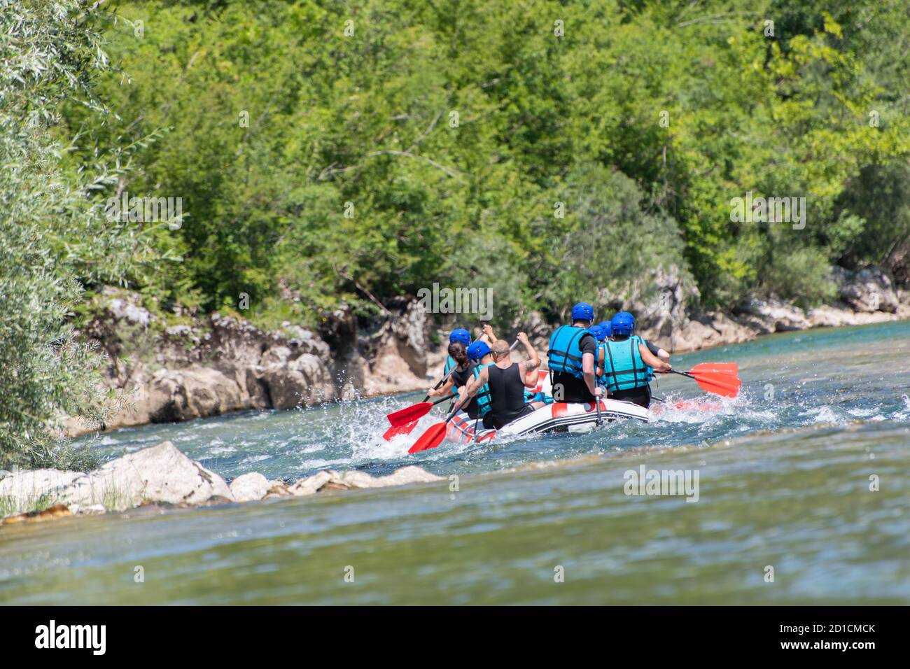 Rafting team goes down the river on the beautiful sunny day. Back view ...