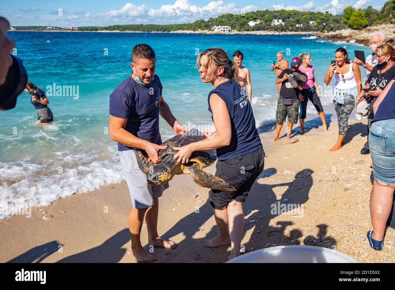 Aquarium pula hi-res stock photography and images - Alamy