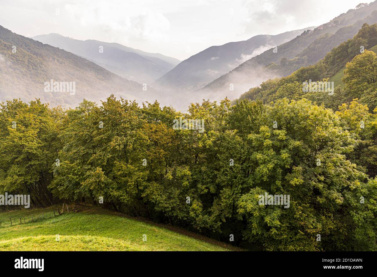 Impressions in the Ticino Muggio Valley, Breggia, Switzerland Stock Photo