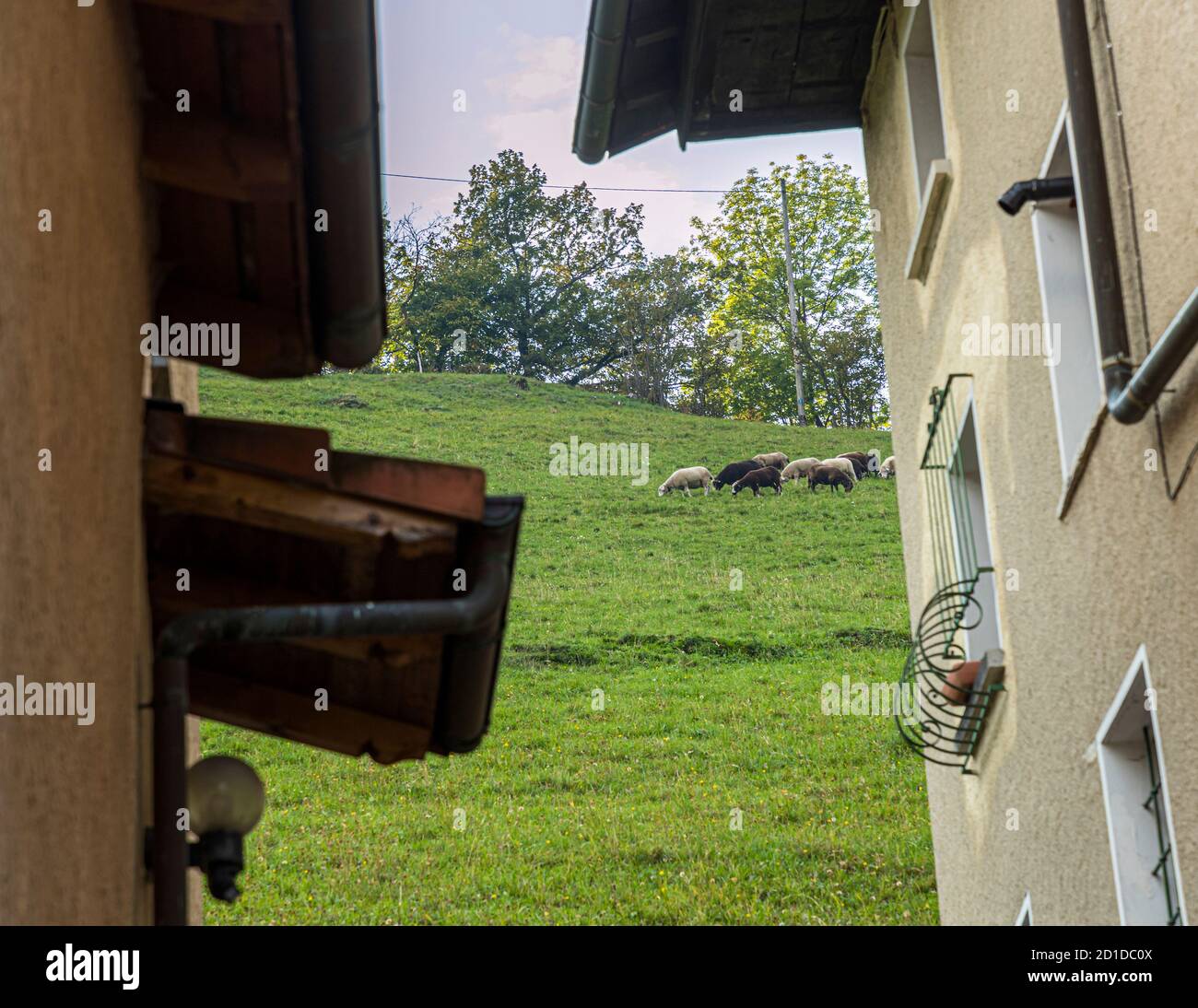 Impressions in the Ticino Muggio Valley, Breggia, Switzerland Stock Photo
