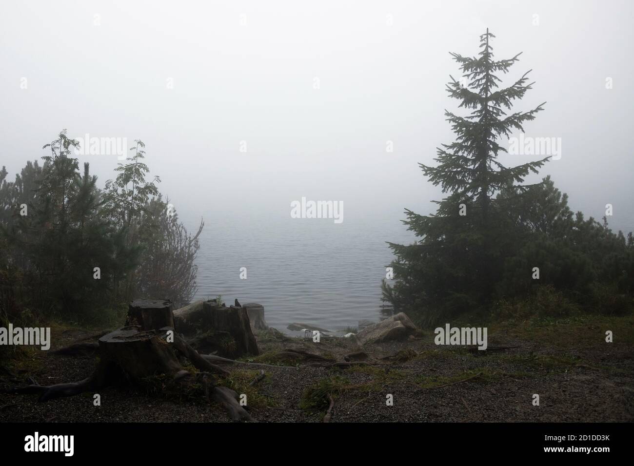 Beautiful fog above mountain lake hi-res stock photography and images ...
