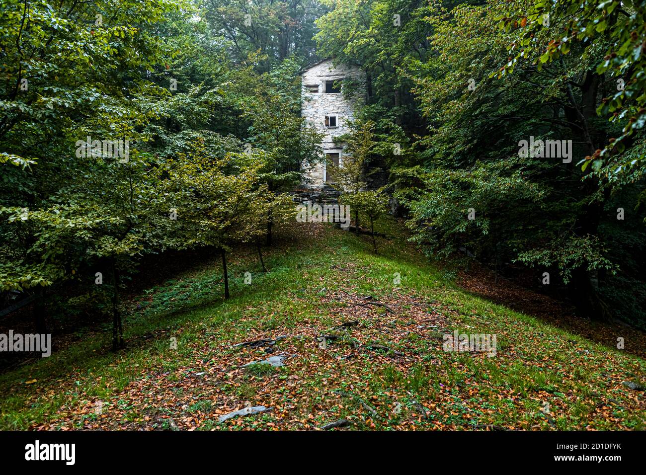 Hidden among the trees, at an altitude of 950 meters stands the Roccolo Meri, the bird tower of Scudellate. The tower has been restored and can also be visited at certain times. Roccolo in Scudelate, Ticino, Switzerland Stock Photo