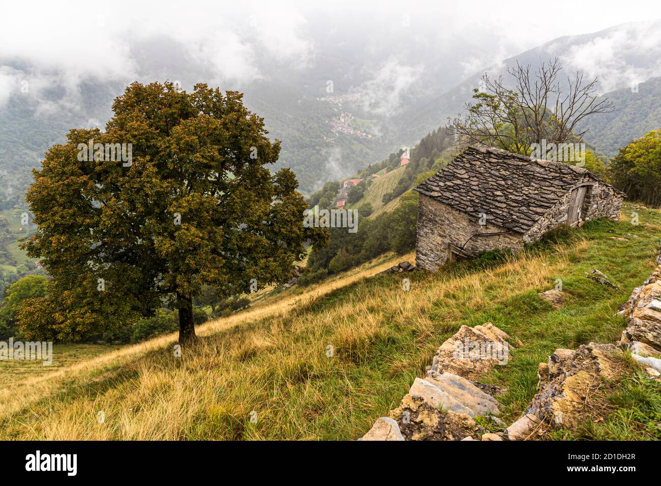 Impressions in the Ticino Muggio Valley, Breggia, Switzerland Stock Photo