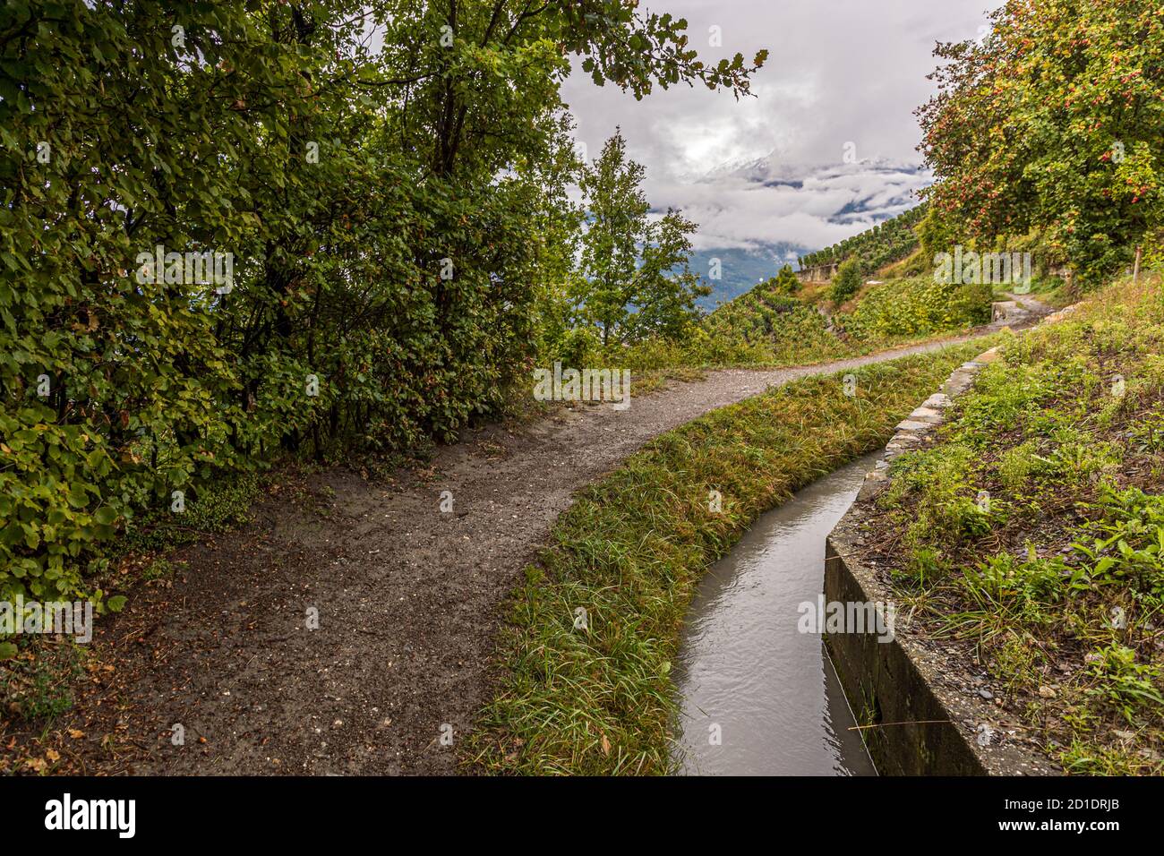 Suonen hike in the Swiss Valais, Savièse, Switzerland. There are a total of six suonen hikes that are easily accessible by post bus from Sion Stock Photo