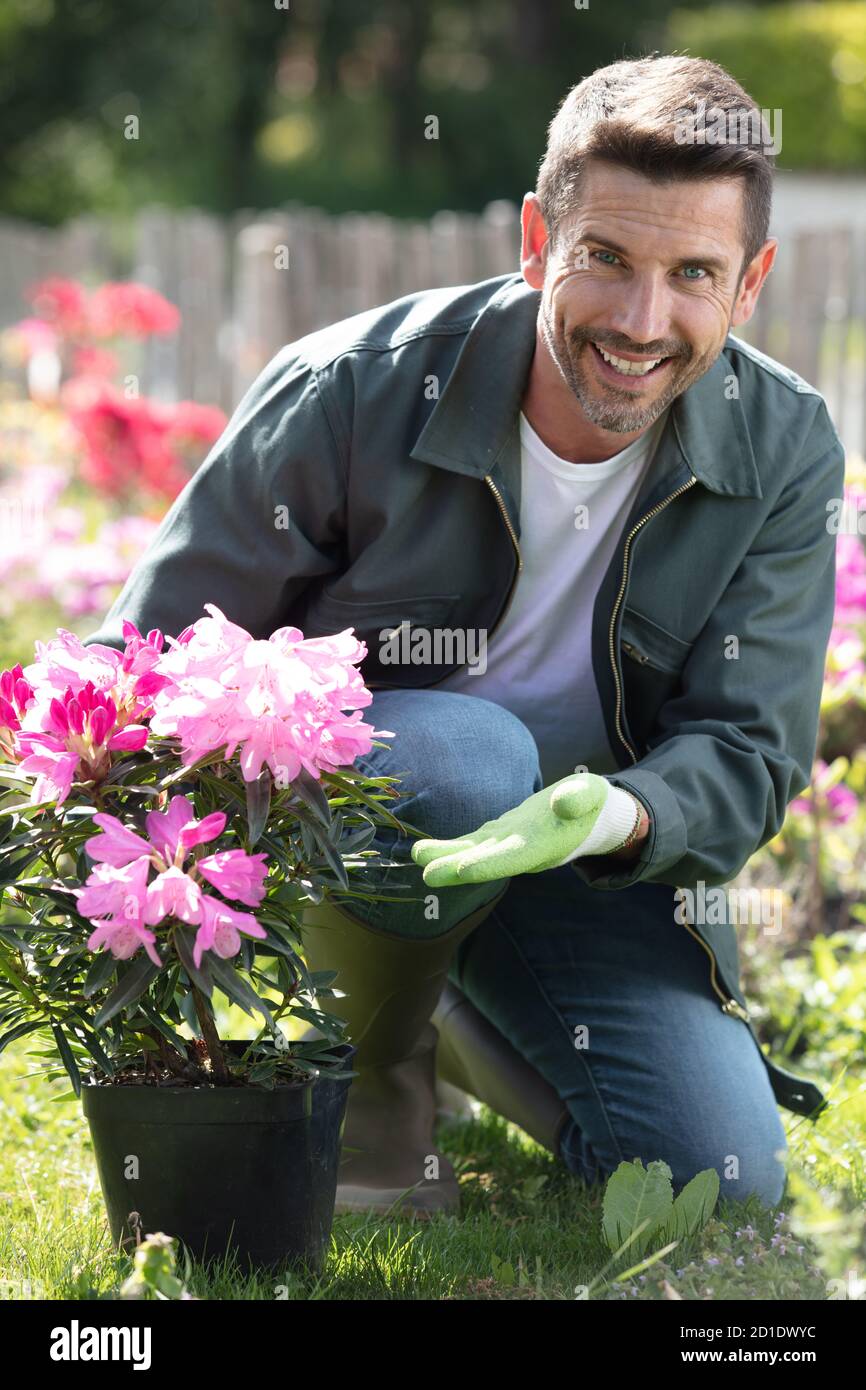 happy gardener in a greenhouse holding vases of flowers Stock Photo - Alamy