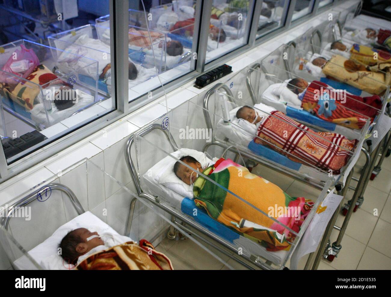 Multiple babies human hi-res stock photography and images - Alamy