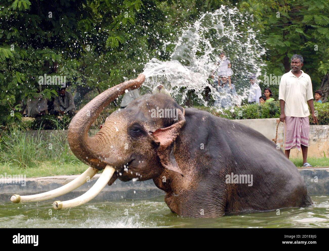 Lucknow zoo hi-res stock photography and images - Alamy