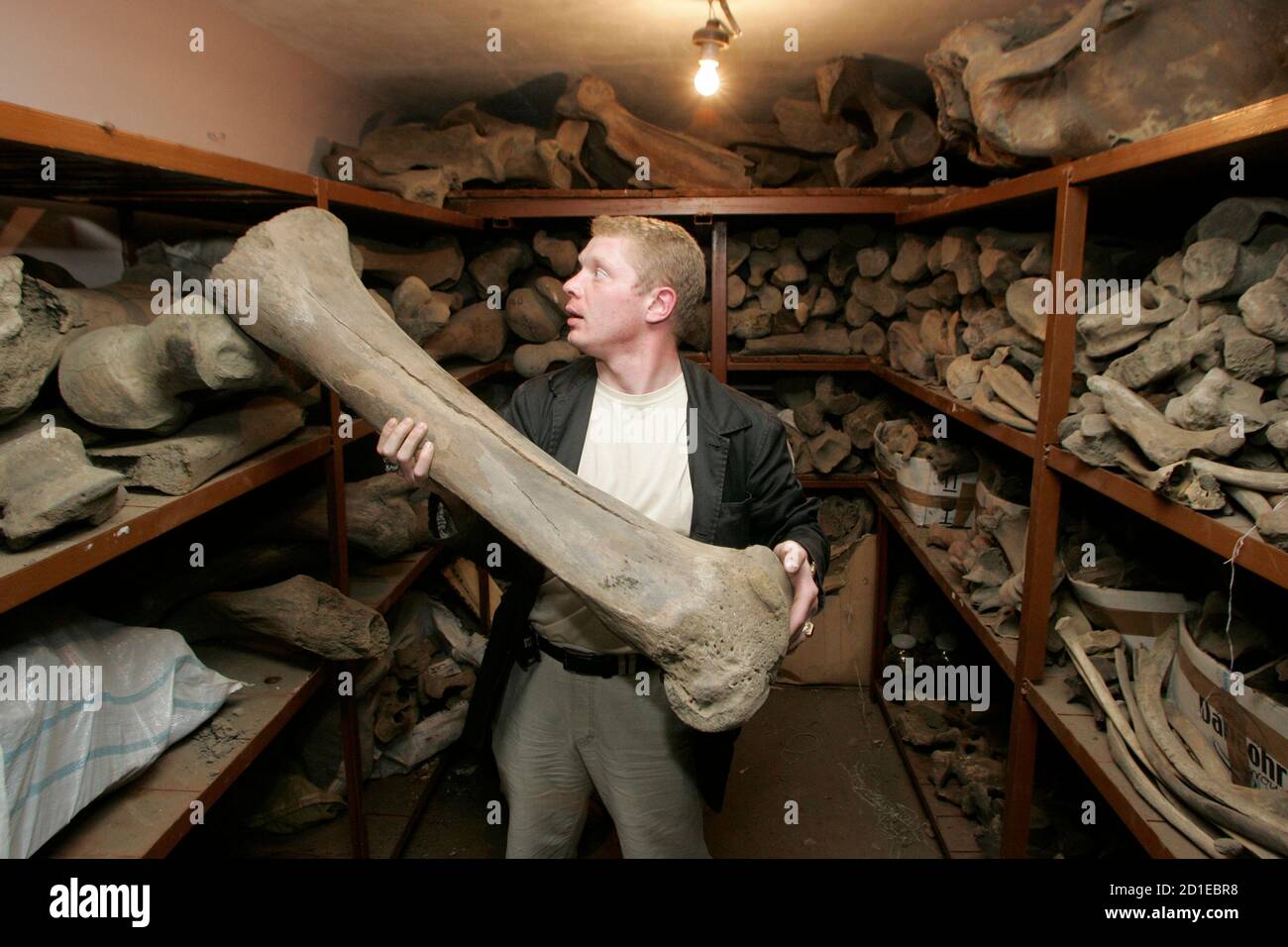 Mammoth bones russia hires stock photography and images Alamy