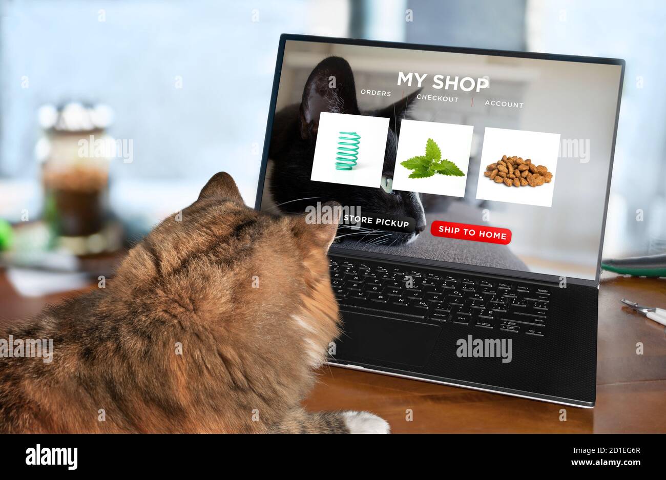 Cat ordering food, toy and catnip by internet with a laptop for home delivery. Concept for pets using technology, ordering online. Stock Photo