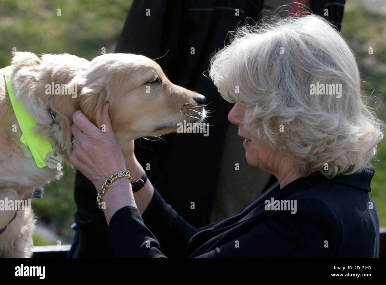 britains-camilla-duchess-of-cornwall-visits-the-guide-dog-school-in-prague-march-22-2010-reutersdavid-w-cerny-czech-republic-tags-animals-politics-royals-2D1EJYD.jpg