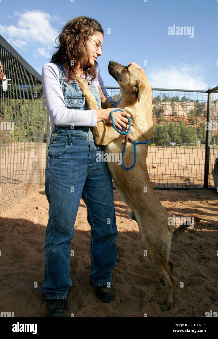 Safa Hojeij, one of the founders of Beirut for the Ethical Treatment of Animals (BETA), pets a dog named 'Ringo' before moving him to a kennel at the Best Friends Animal Sanctuary near Kanab, Utah September 26, 2006. About 300 dogs and cats, displaced by the recent war between Israel and Hizbollah, were transported from Lebanon by cargo jet and and truck to the sanctuary. The rescue program was organized by the Best Friends Animal Society after BETA was overwhelmed with displaced pets, organizers said. REUTERS/Steve Marcus (UNITED STATES) Stock Photo