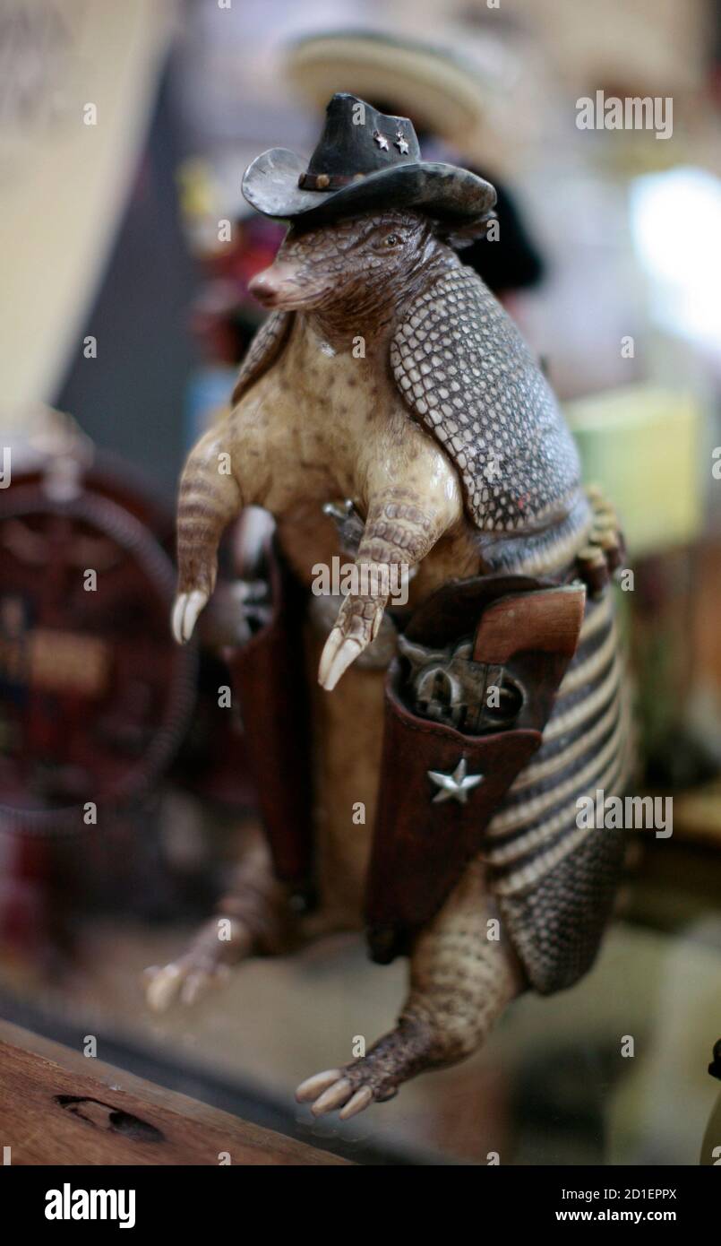 A plastic armadillo, wearing a cowboy hat and twin pistol holsters, is seen  on display at an antiques and souvenir store in Crawford, Texas, April 6,  2007. In the small town of