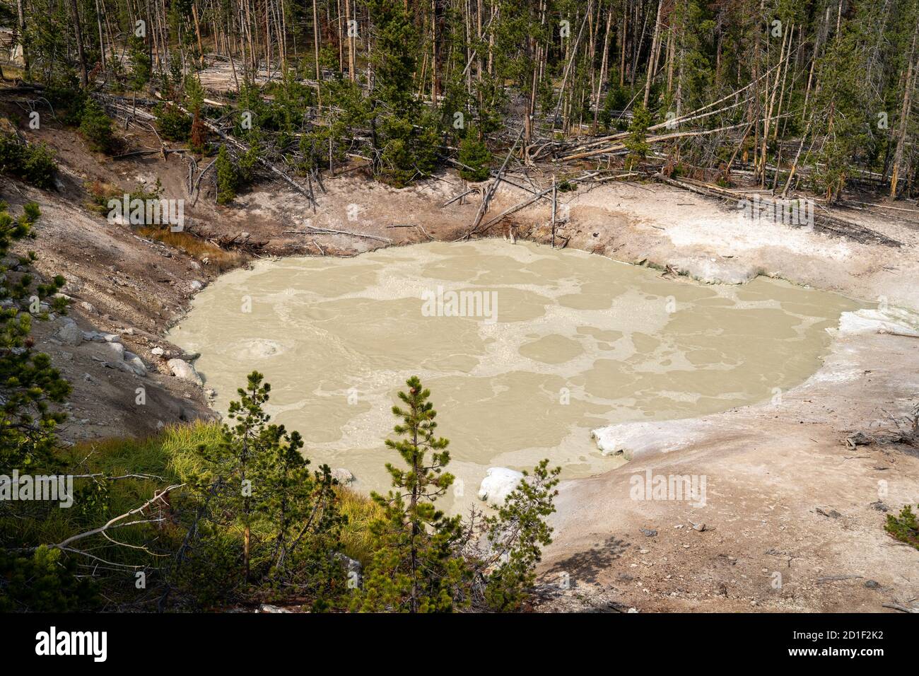 Mud Volcano and Sulfur cauldron are mud pots and fumaroles, in