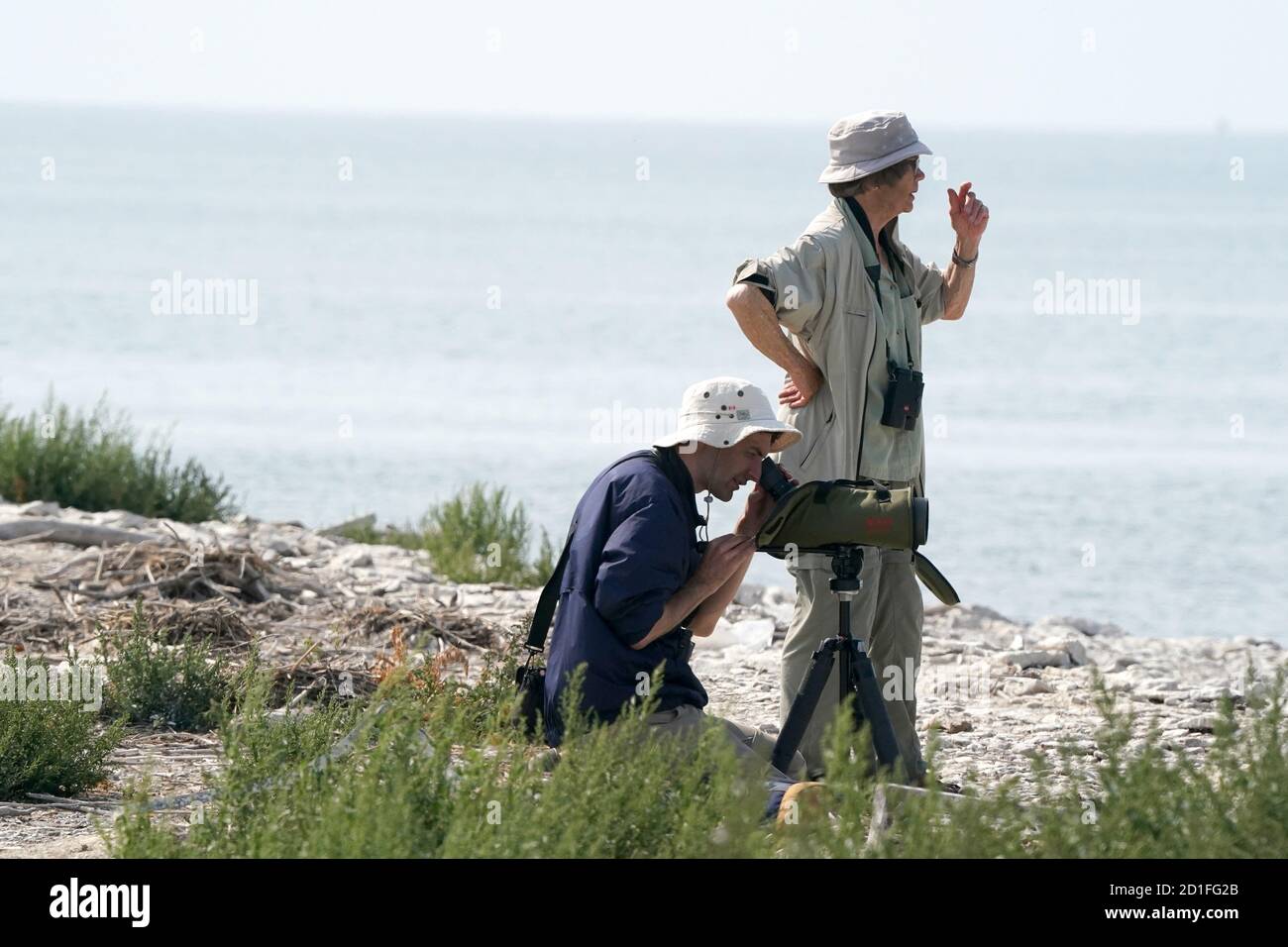 Serious Bird watchers Stock Photo