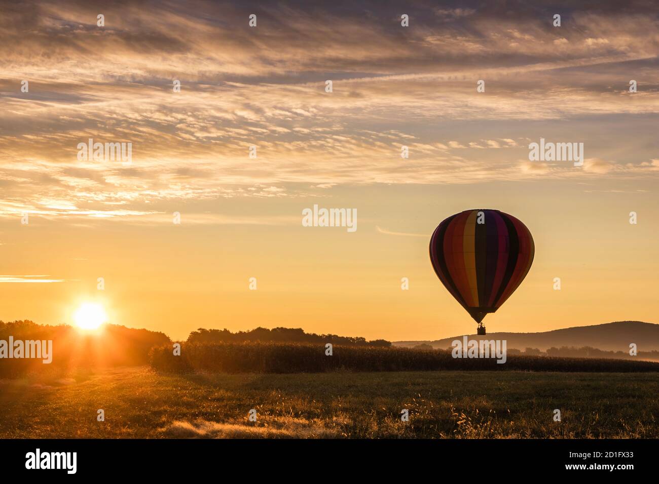Hot Air Balloon in colorful rainbow stripes begins ascent over farm field as sun rises golden sky Stock Photo