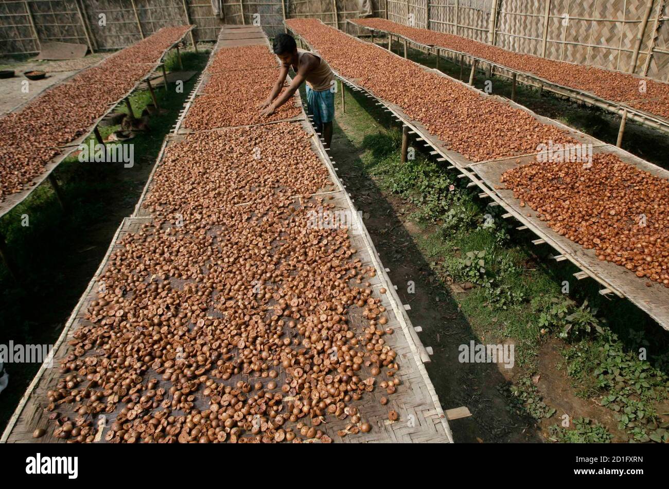 India Food Bank High Resolution Stock Photography And Images Alamy Food photographers charge from $150 for a small job done in an hour with little to no editing on digital files only, up to $500. alamy